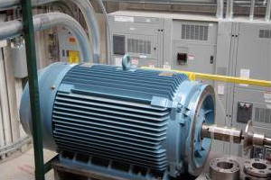 Electricity generator